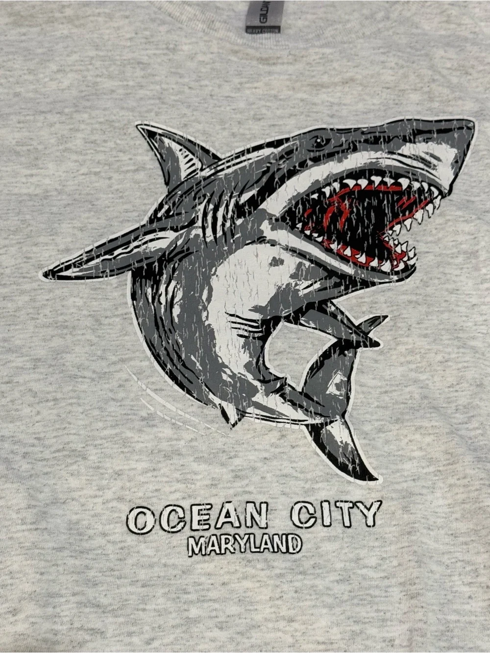 Gildan Light Gray Shark Graphic Tee